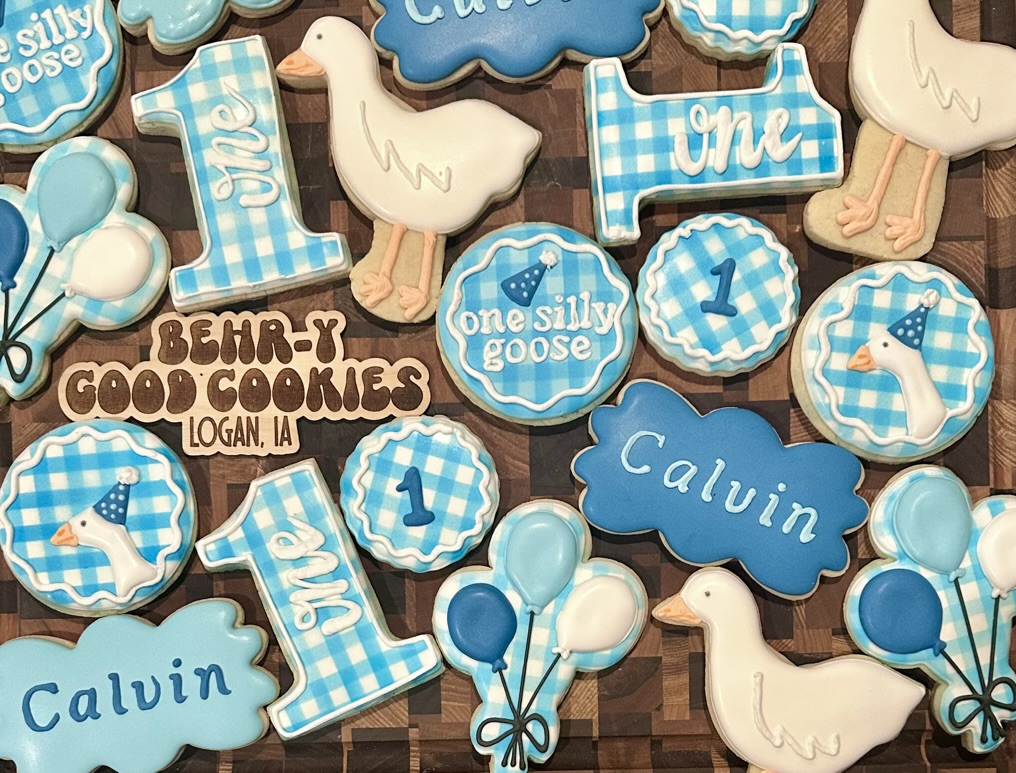 Calvin · One Silly Goose